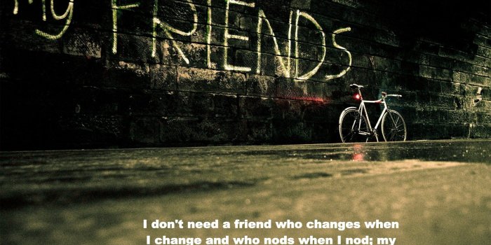 2880x1827 Best Friend Wallpapers (68+ background pictures)