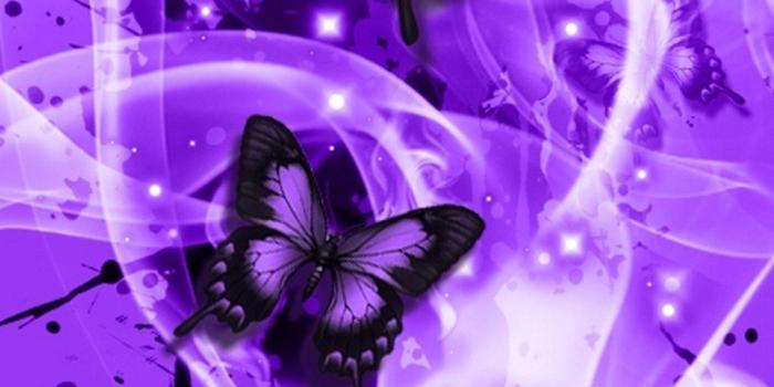 1080x1920 iPhone 8 Wallpaper Cute Butterfly | 2019 3D iPhone Wallpaper