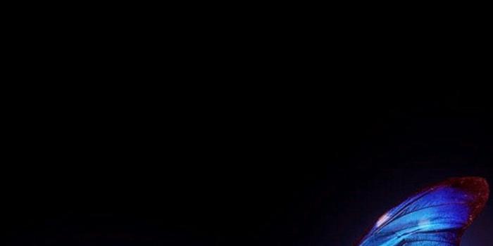 1080x1920 iPhone Wallpaper HD Blue Butterfly | 2019 Cute Wallpapers