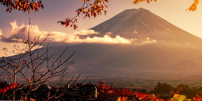 1332x850 Wallpaper autumn, the sky, leaves, colorful, Japan, Japan, red