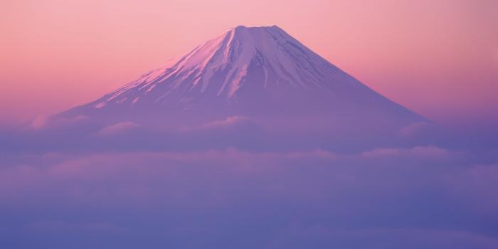 1920x1080 Fuji Tag wallpapers: Flowers Glicinia Spring Curtain Fuji Wisteria