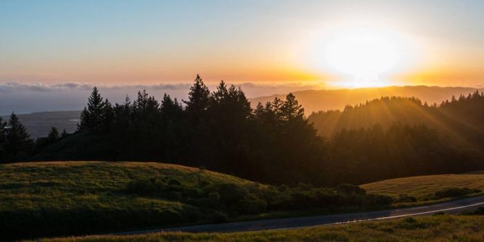 1280x960 Morning, Mount Fuji, Grassland, Mount Scenery, Hill 4:3 Wallpaper