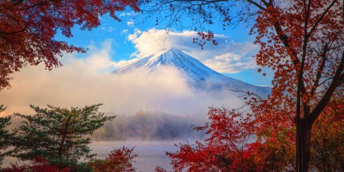 1920x1080 Fuji Tag wallpapers: Flowers Glicinia Spring Curtain Fuji Wisteria