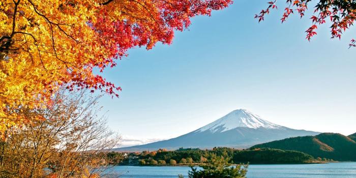 1920x1080 Download Wallpaper autumn volcano fuji, 1920x1080, Autumn tree on a