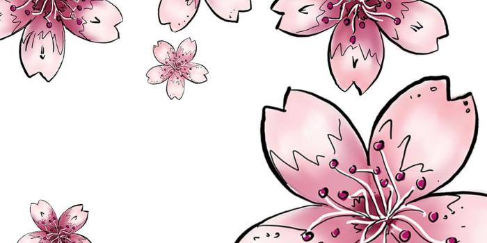 1242x2208 illustrated smartphone wallpapers | byMinoue