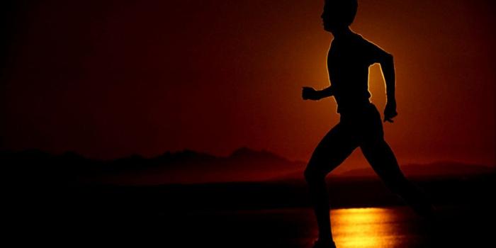 1152x760 Running Free Sport Wallpaper Hd | Wallpapers Quality