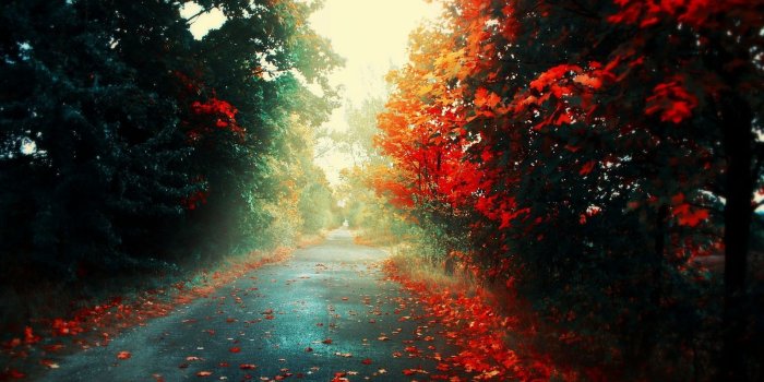 1600x979 30 Ultra HD Chill Wallpaper For PC Desktop Background