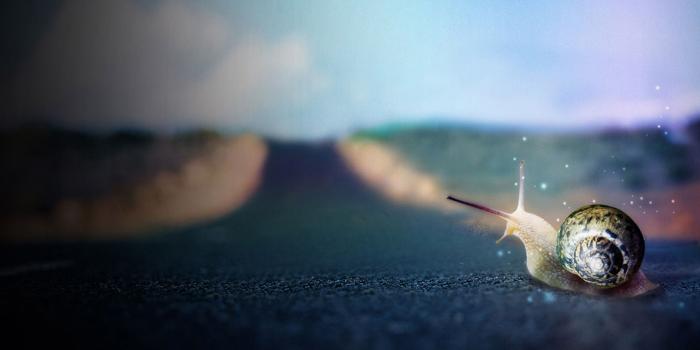 2560x1440 Strong Desktop Wallpapers - Top Free Strong Desktop Backgrounds