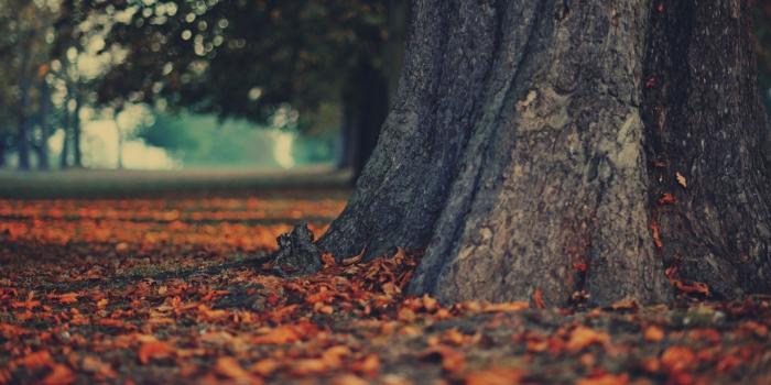 2560x1600 Strong Wallpapers