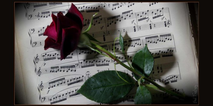 1920x1080 The music and romantic, gothic, fantasy art and photography of Sad