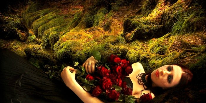 1920x1200 Dark gothic women flowers mood sad sorrow love romance vampire