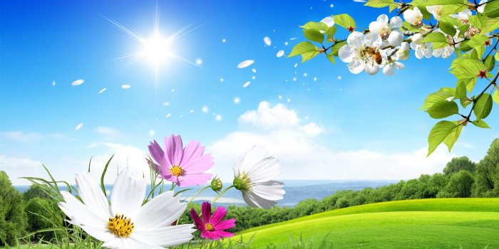 1920x1080 Beautiful Summer Wallpaper Widescreen #7039459