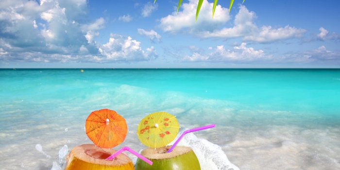 2560x2030 Summer Wallpaper HD Free download