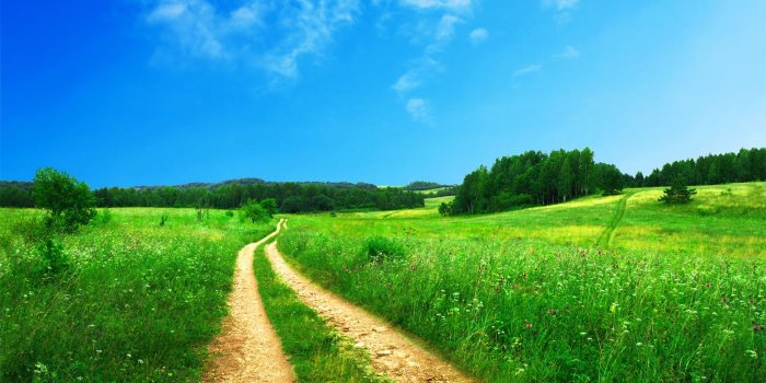 2560x1600 beautiful summer landscapes wallpaper for pc | Summer Landscape