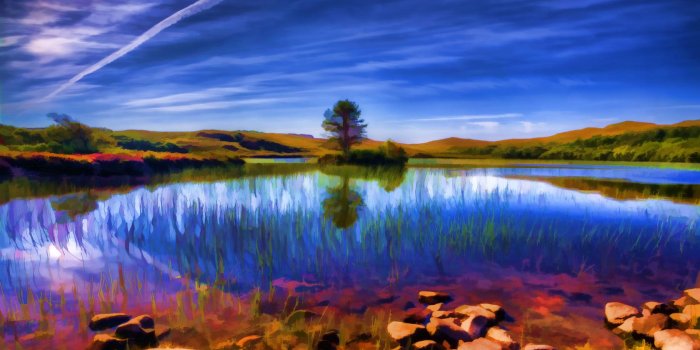 1680x1050 Images of Beautiful Summer Nature. 100 Photos for Your Desktop