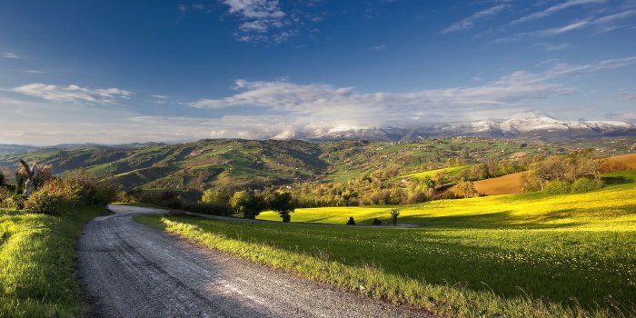 1920x1080 Images of Beautiful Summer Nature. 100 Photos for Your Desktop