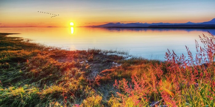 2560x1600 Beautiful Summer Sunrise Wallpapers | HD Wallpapers