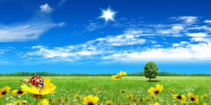 1920x1200 Images of Beautiful Summer Nature. 100 Photos for Your Desktop