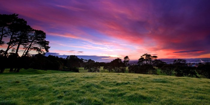 2560x1600 Beautiful summer sunset free wallpaper. Grass. Trees.