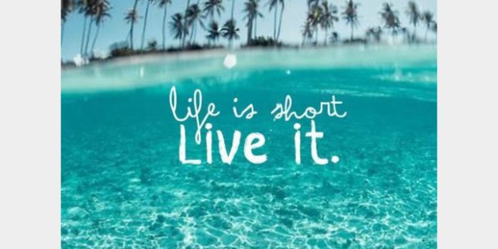 720x1280 Beautiful Summer wallpaper for Android - APK Download