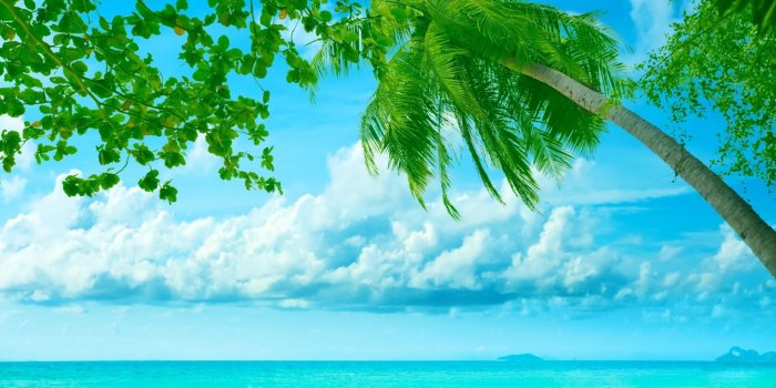 2560x1440 Beautiful Summer Wallpaper - (46+ pictures)