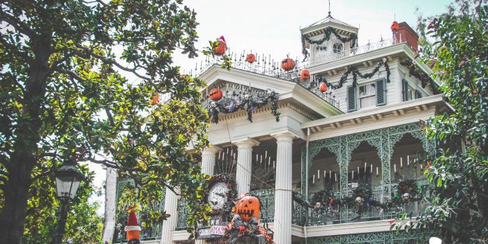 3072x2048 Fall” in love with our free set of Disneyland wallpapers