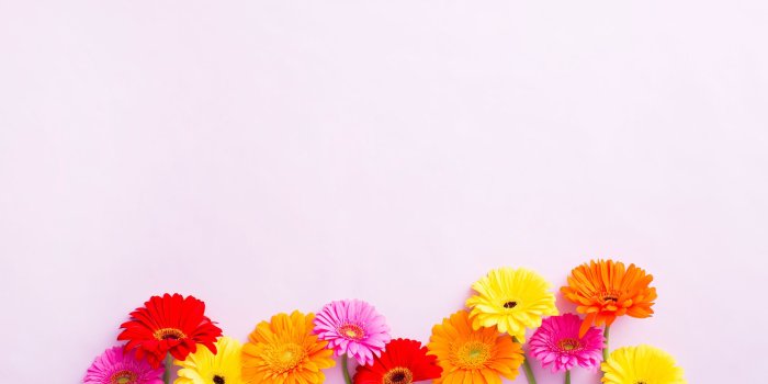 2400x1600 9 Brand New Desktop and Smartphone Wallpapers for Spring | Brit + Co