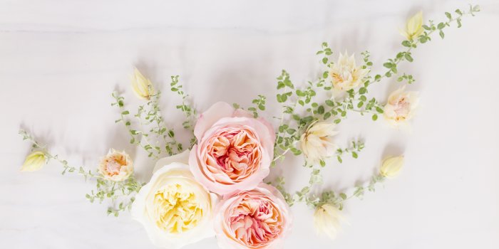 5760x3840 DIGITAL BLOOMS MAY 2019 | FREE DESKTOP WALLPAPER - JustineCelina