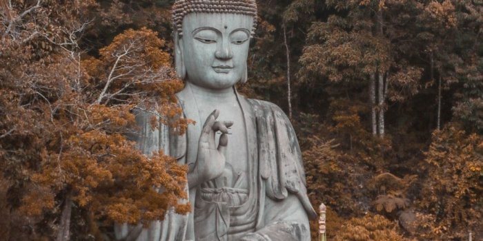 1000x1500 Buddha Pictures & Images [HQ] | Download Free Photos on Unsplash