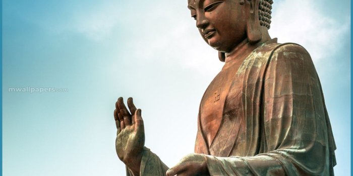 1541x1996 Buddha Hd Photos & Wallpapers - Tian Tan Buddha (#1652257) - HD