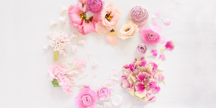 5114x3409 DIGITAL BLOOMS APRIL 2019 | FREE DESKTOP WALLPAPER + DIGITAL BLOOMS