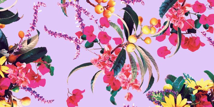 2800x1880 Floral Desktop Wallpaper (32+) - HD Nice Wallpapers