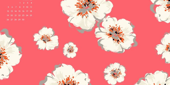 1856x1161 Floral Photo Desktop Background