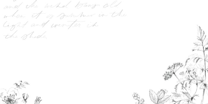 1500x1031 Floral Desktop Wallpaper Download | lark & linen