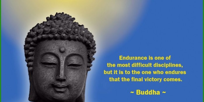 1024x768 Buddha Inspirational Quotes Perfect Inspirational Desktop Wallpaper