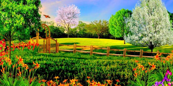 1920x1200 Summer Nature Wallpapers Photo ~ Jllsly | Wahid in 2019 | Nature