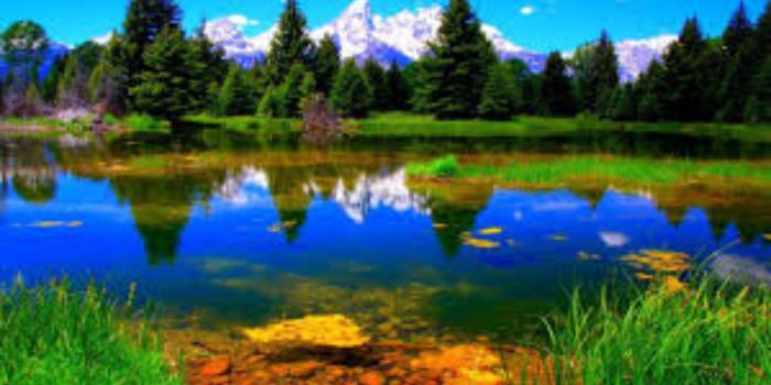 3840x2160 Summer Nature Wallpapers - Top Free Summer Nature Backgrounds