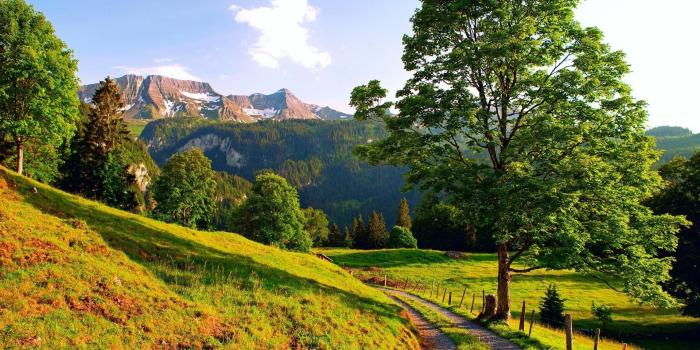 1920x1350 Summer Nature Wallpaper (56+ images)