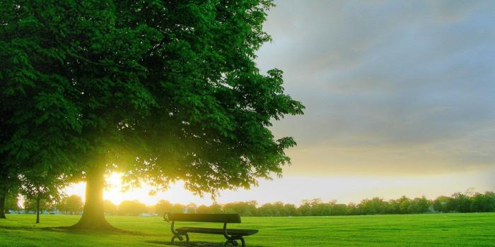 1920x1080 Virtual, Mother Nature, Grass, Bench,HD Nature Wallpapers Summer