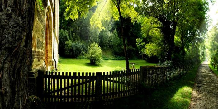 1440x837 Nature Great Summer Hd Wallpapers | This Wallpapers