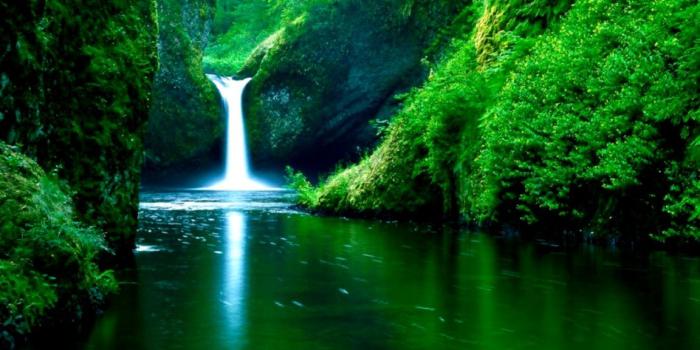 1152x921 Summer Nature Wallpaper Desktop Pictures | Image Wallpapers