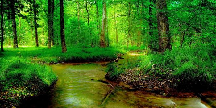 1920x1080 river forest summer nature wallpaper[1920x1080] : wallpaper