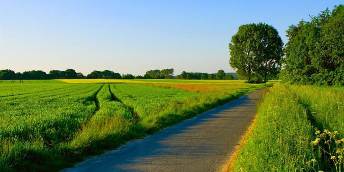 1920x1046 Summer, Nature, Landscape, Images, Wallpaper, Background Photos