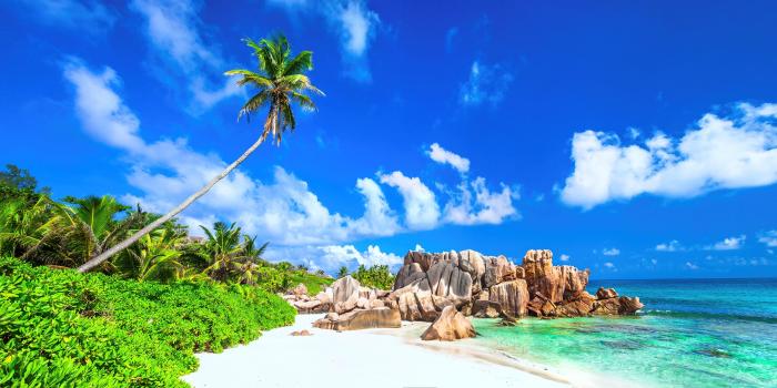 3100x1440 Wallpaper Summer, Beach, Rocks, Hd, Nature, - Nature Summer