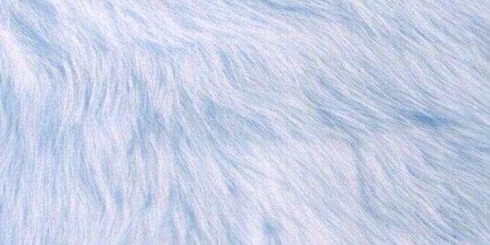 1080x1920 Baby Blue Fur iPhone Wallpaper | Feel Me | Blue wallpaper iphone