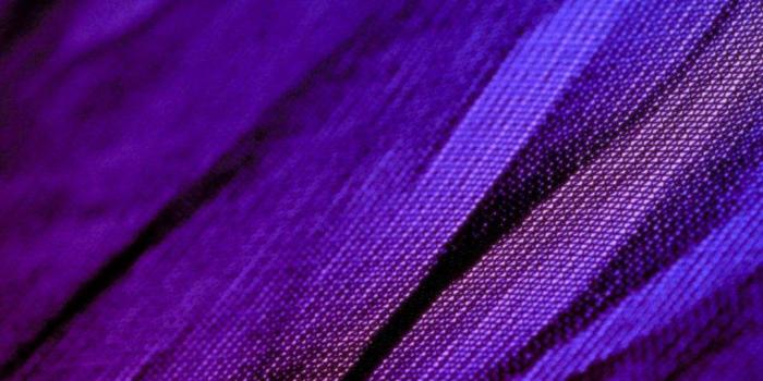 1080x1920 75 Creative Textures iPhone Wallpapers Free To Download – Available