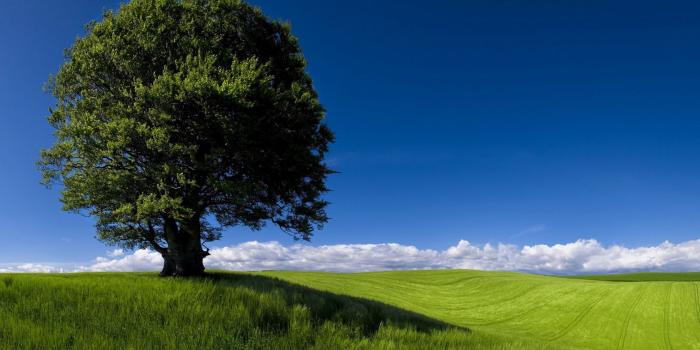 1680x1050 Summer Landscape Nature ❤ 4K HD Desktop Wallpaper for 4K Ultra HD