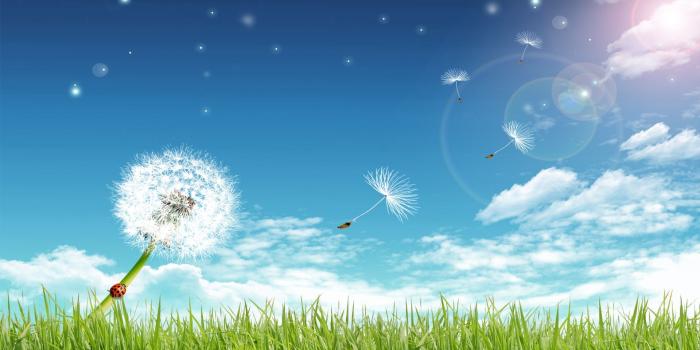 1920x1080 Summer Nature Backgrounds #7020513