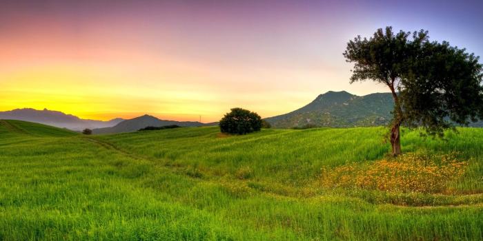 1920x1080 Summer Wallpaper 1080p (70+ images)