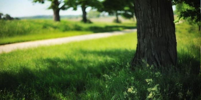 1923x1280 Summer Nature Wallpapers (69+ background pictures)